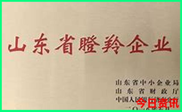白山市旅游攻略必玩的景点
